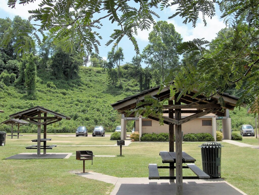 Benches at the park