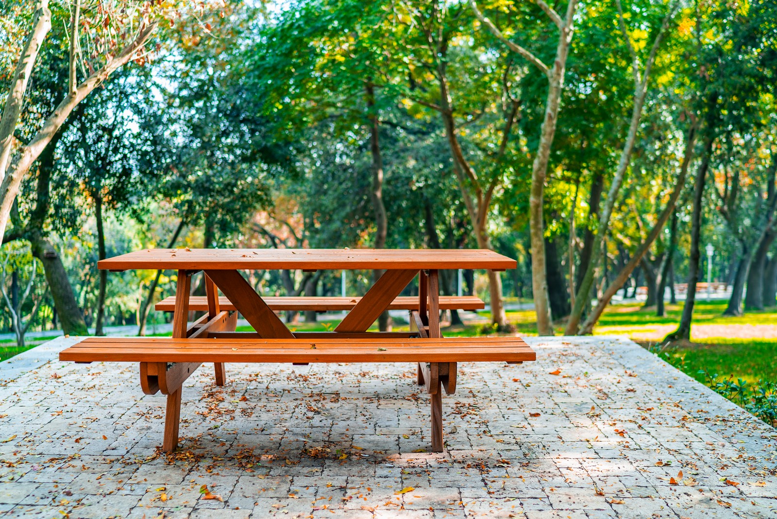 mesa de picnic