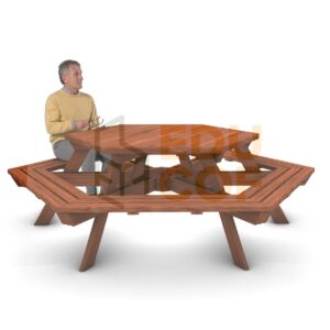 Mesa hexagonal de picnic